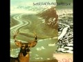 Rae Spoon - Come On Forest Fire Burn The Disco ...