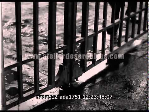 Ouverture du procès d'Hideki Tojo - chutes