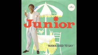Junior - Mama Used To Say (American Remix)