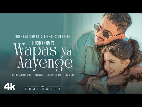 Wapas Na Aayenge Lyrics - Millind Gaba