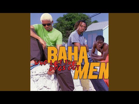 Baha Men - Who Let The Dogs Out cover