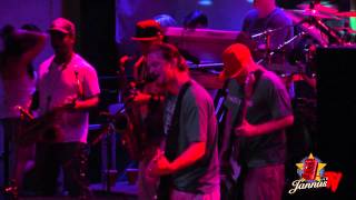 Slightly Stoopid Ocean