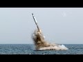 Запуск подводной ракеты в КНДР: Сеул выразил озабоченность (новости) 