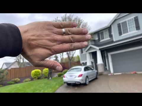 Easy way to visualize 20%, for crown raising…