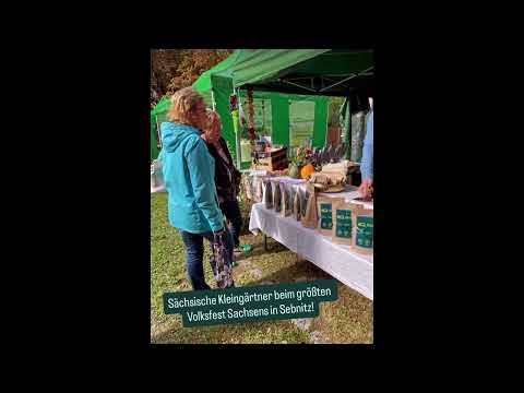 Tag der Sachsen 2025