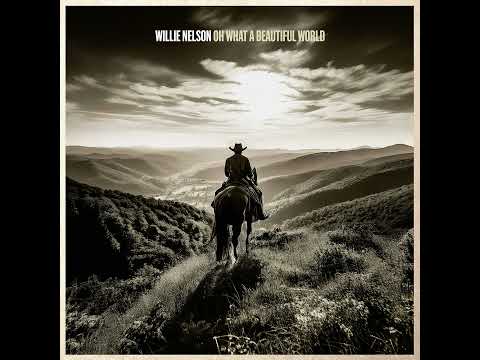 The Fly Boy & The Kid Lyrics video by Willie Nelson