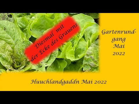 Gartenrundgang Anfang Mai 2022  Achtung Ecke des Grauens gegen Ende. Tomaten schon draussen?