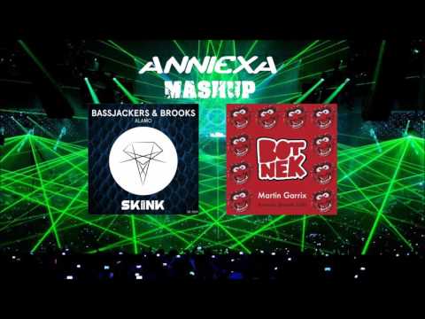 Bassjackers & Brooks - Alamo vs Martin Garrix - Animals (Botnek edit) (Anniexa Mashup)