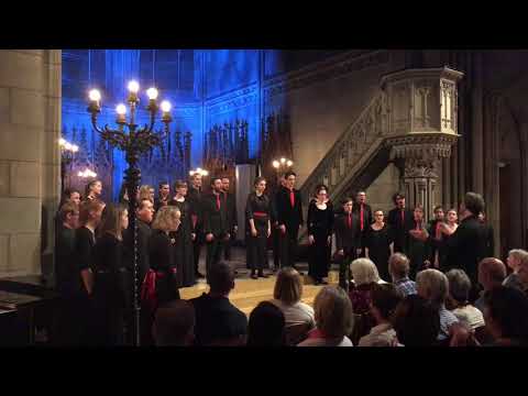 Čopi Ambrož: HE WISHES FOR THE CLOTHS OF HEAVEN for baritone solo & SATB div