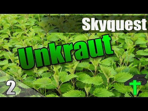 Unkraut | Skyquest | #2 | Items4Sacred [GER]