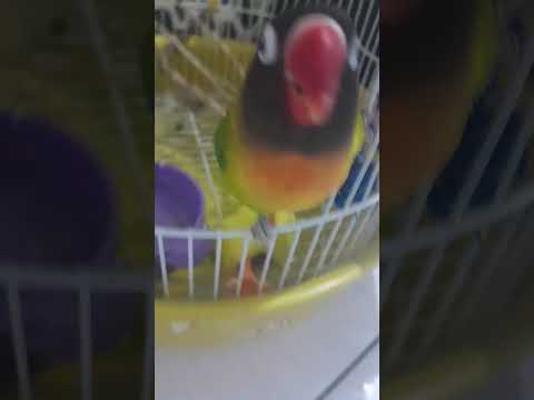 23 de setembro de 2023