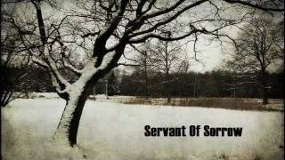 Servant Of Sorrow - SOS Demo (Studio diary second day)