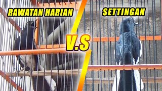 Download lagu BETWEEN DAILY TREATMENT AND RACE SETTINGS | DR. KACER mp3 Download lagu BETWEEN DAILY TREATMENT AND RACE SETTINGS | DR. KACER mp3