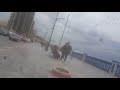 VLOG C EST LA FIESTA 1