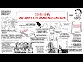 Teori Cina Masuknya Islam Ke Nusantara