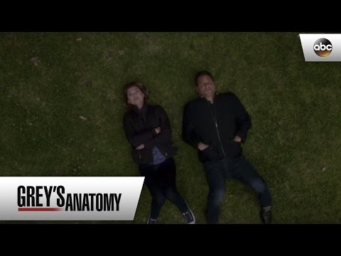 Meredith and Alex Talk About Love - Grey's Anatomy 12x24