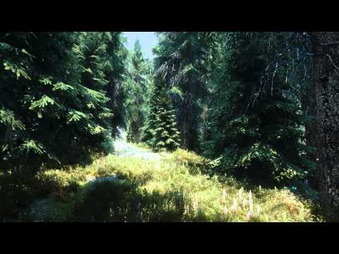 Skyrim Insane Graphics Next-Gen(130+mod) GTX 980 ita #9