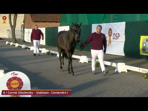 KN 6 v. Cornet Obolensky - Stakkato - Contendro I