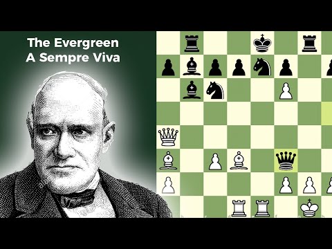 The Evergreen, a partida “Sempre Viva” do Xadrez | Anderssen x Dufresne (1852)