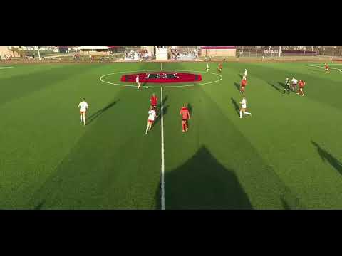 2026-03-19 V Hannibal