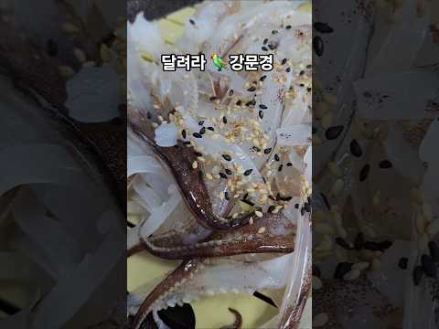 #달려라#강문경#신작뮤비