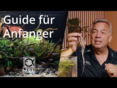 JBL TV #82 Aquarienpflanzen düngen leicht gemacht - Der Ratgeber für Anfänger