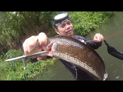 SE03EP002 Part 2 - UMANI na naman ng HULI sa IISANG LUNGGA ( Catch & Cook ) San Pablo City, Laguna