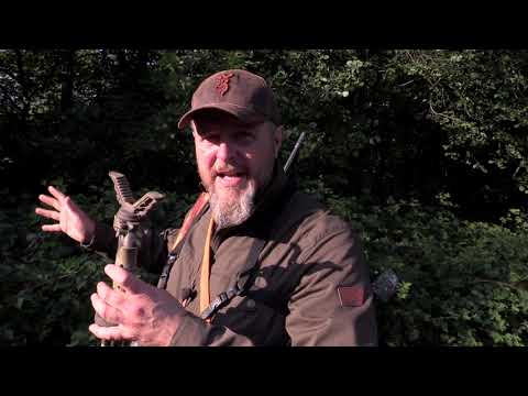 Darz Bór odc. 351  W poszukiwaniu jednoparostkowca