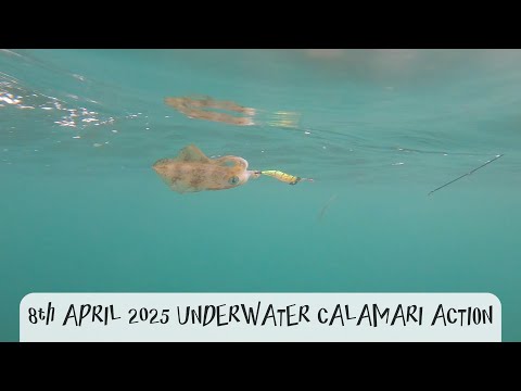 8th April 2025 Ep 9 Underwater Calamari action with Clicks Jigs Prospec