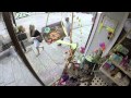 Truro In Bloom Window Uneeka Life