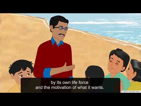 Class 5 My Life By A P J  Abdul Kalam