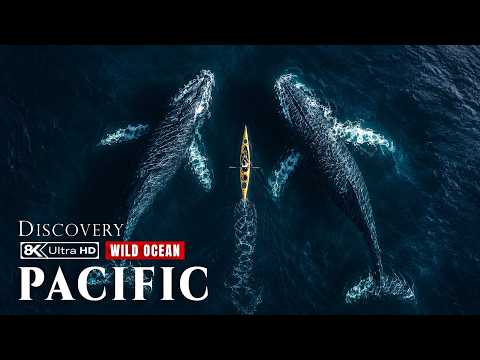 Wild Pacific: A Journey Through Earth s Largest Ocean
