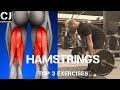 TOP 3 HAMSTRING EXERCISES FOR BUILDING MUSCLE!