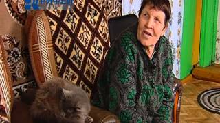 Сюжет Икотка