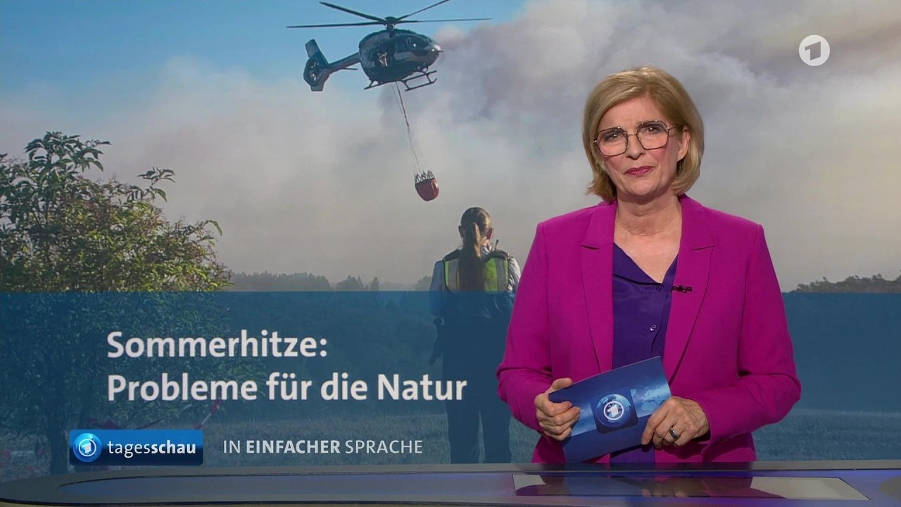 tagesschau in Einfacher Sprache 19:00 Uhr, 14.08.2026