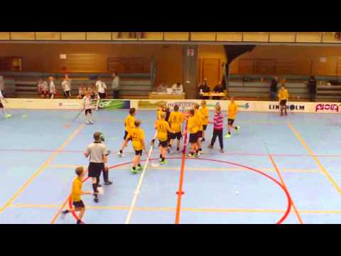 Maalikooste D1 Eliittisarja Pori 23.3.2014