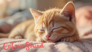 Cat Purring Therapy???? – 1 Hour of Healing Sounds????????