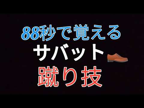 【サバット】88秒で覚える基本蹴り　　　※説明欄で解説