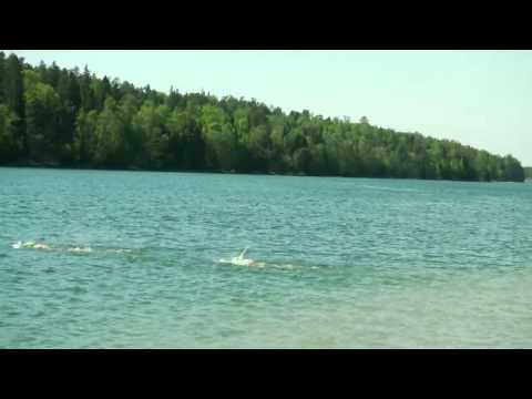 Utö Swimrun 2013 - Live (part 2)
