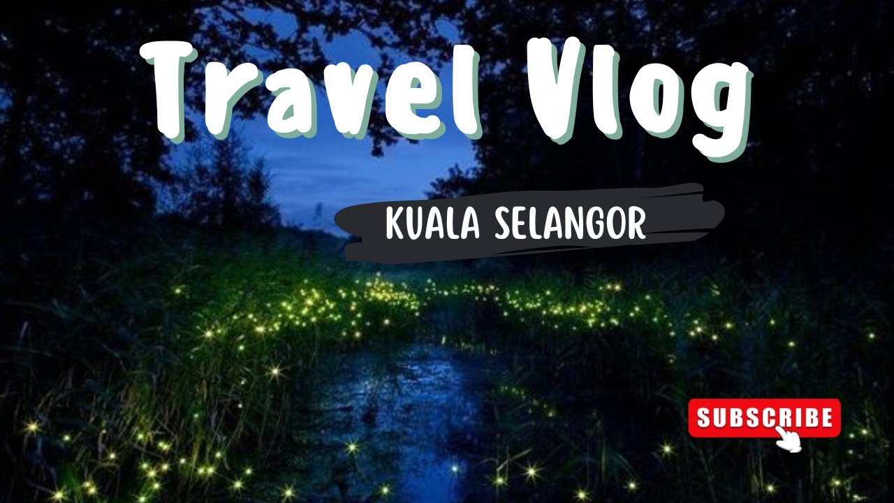 World's largest habitat of fireflies in Kuala Selangor | Day out in Kuala Selangor