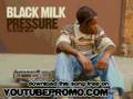 black milk - The Matrix Feat. DJ Premier,  - Give The Drumme