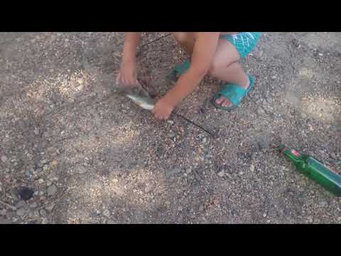 Рыбалка на китайскую снасть