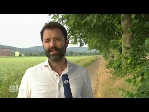 Axtmörder Rinteln gesucht Juni 2022 Tatverdächtiger Elchin A. mittlerweile gefasst und vor Gericht.