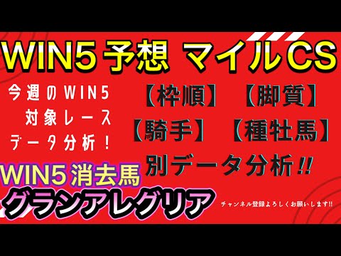 【競馬】WIN5予想 マイルCS❗️ WIN5消去馬はグランアレグリア⁉️