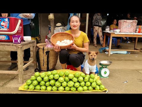 Harvesting chayote garden, ducks egg goes to the market sell | Ly Thi Tam