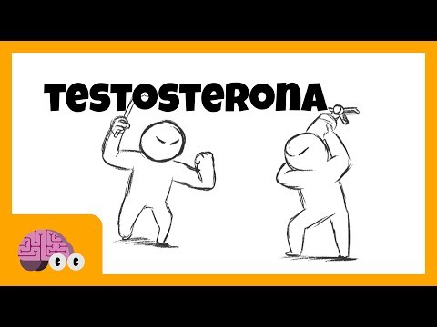 Testosterona