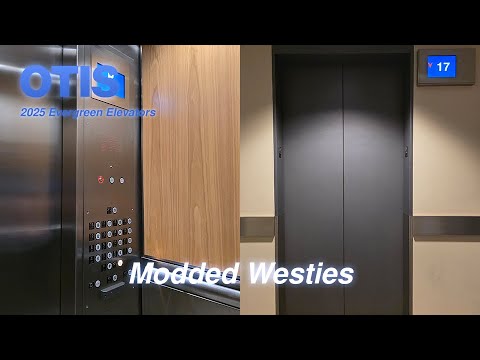 Nice Westinghouse (mb. OTIS) Traction Elevators | 1200 5th | Seattle, WA.