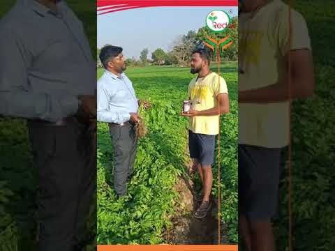 Remand Bio Insecticides