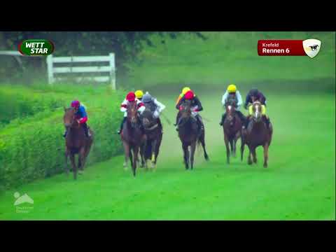 Preis von Edeka Kempken