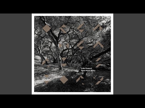 I Still Dream About You, Sometimes But Not Always